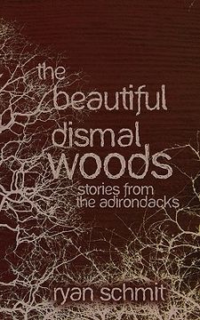 portada the beautiful dismal woods: short stories from the adirondacks (en Inglés)
