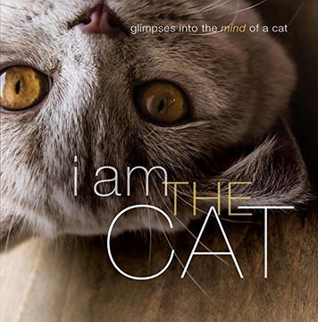 portada I am the cat (in English)