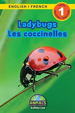 portada Ladybugs (en Francés)