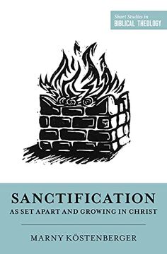 portada Sanctification as Set Apart and Growing in Christ (en Inglés)