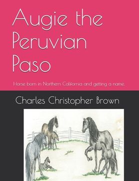 portada Augie the Peruvian Paso: Horse born in Northern California and getting a name.