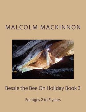 portada Bessie the Bee On Holiday Book 3: For ages 2 to 5 years (en Inglés)
