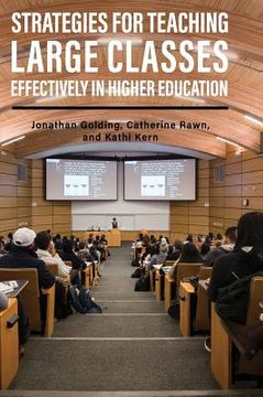 portada Strategies for Teaching Large Classes Effectively in Higher Education (in English)