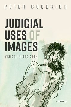 portada Judicial Uses of Images: Vision in Decision (en Inglés)
