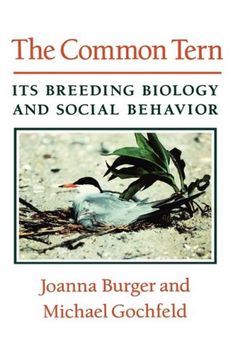 portada The Common Tern: Its Breeding Biology and Social Behavior: Its Breeding, Biology and Social Behaviour (in English)