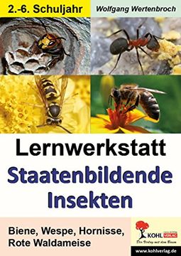 portada Lernwerkstatt - Staatenbildende Insekten (en Alemán)
