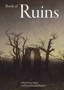 portada Book of Ruins (in English)
