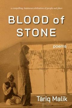 portada Blood of Stone (en Inglés)
