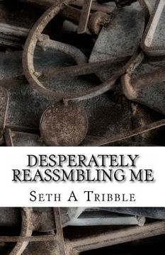 portada Desperately Reassmbling Me: A Collection of Poetry (in English)
