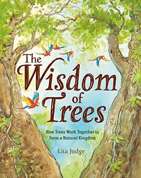 portada The Wisdom of Trees: How Trees Work Together to Form a Natural Kingdom (en Inglés)
