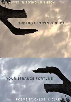 portada Your Strange Fortune (en Inglés)
