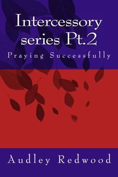 portada Intercessory Series Pt.2 (Praying Successfully) (Volume 2)