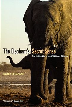 portada The Elephant's Secret Sense: The Hidden Life of the Wild Herds of Africa (en Inglés)