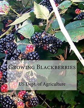 portada Growing Blackberries (en Inglés)