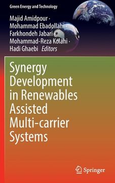 portada Synergy Development in Renewables Assisted Multi-Carrier Systems (en Inglés)
