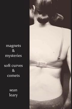 portada Magnets and Mysteries, Soft Curves and Comets