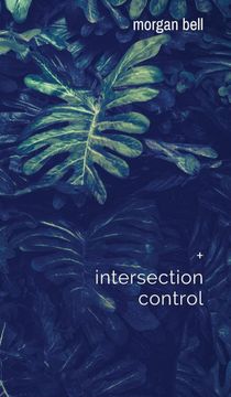 portada Intersection Control: Collected Works (en Inglés)