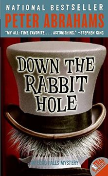 down the rabbit hole,an echo falls mystery