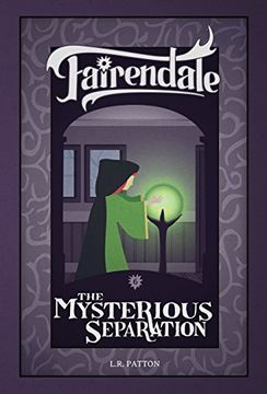 portada The Mysterious Separation: 6 (Fairendale) (in English)