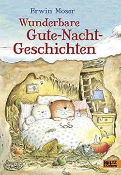 portada Wunderbare Gute-Nacht-Geschichten