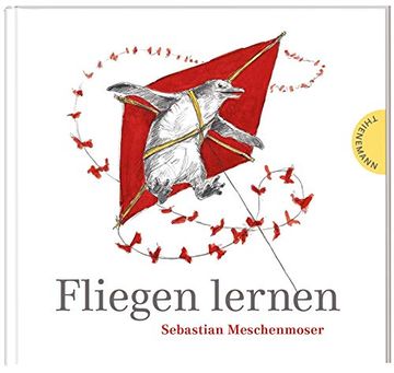 portada Fliegen Lernen (en Alemán)
