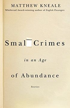 portada Small Crimes in an age of Abundance 