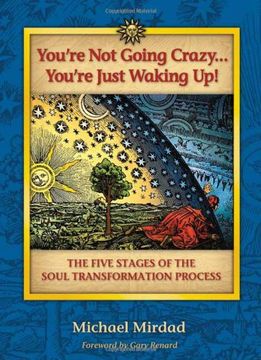 portada You're Not Going Crazy... You're Just Waking Up!: The Five Stages Of The Soul Transformation Process (in English)