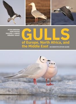 portada Gulls of Europe, North Africa, and the Middle East: An Identification Guide (in English)