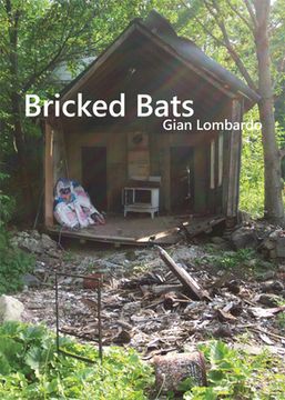 portada Bricked Bats (in English)