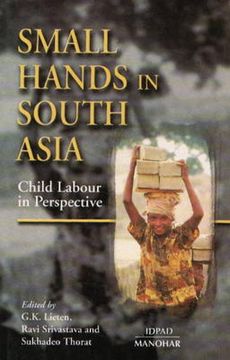 portada Small Hands in South Asia: Child Labour in Perspective
