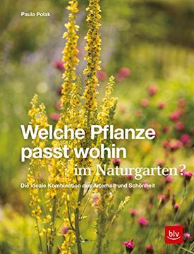 portada Welche Pflanze Passt Wohin im Naturgarten? Die Ideale Kombination aus Arterhalt und Schönheit (Gartengestaltung) (en Alemán)