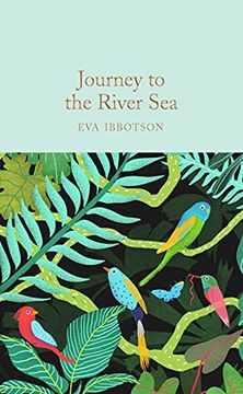 portada Journey to the River Sea (in English)