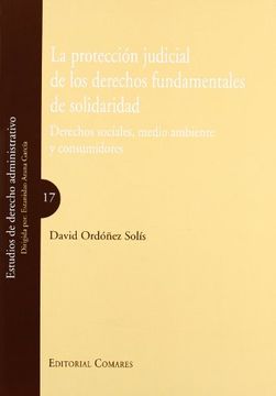 portada La Protección Judicial de los Derechos Fundamentales de Solidaridad: Derechos Sociales, Medio Ambiente y Consumidores