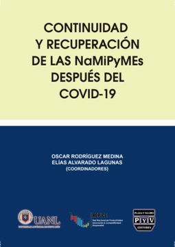 portada Ibd - Continuidad y Recuperación  de las Namipymes  Después del Covid-19