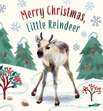 portada Merry Christmas, Little Reindeer (Baby Animal Tales) 