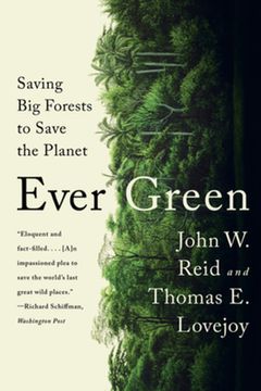 portada Ever Green: Saving Big Forests to Save the Planet (in English)