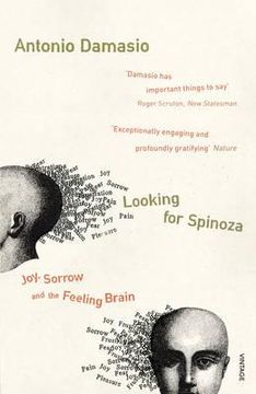 portada looking for spinoza: joy, sorrow, and the feeling brain (en Inglés)