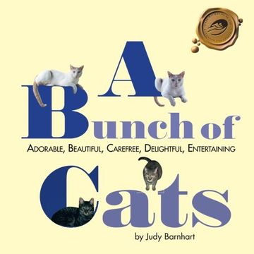 portada A Bunch of Cats