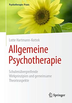 portada Allgemeine Psychotherapie: Schulenübergreifende Wirkprinzipien und Gemeinsame Theorieaspekte (in German)