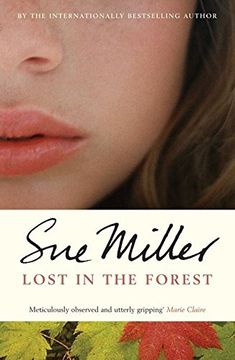 portada Lost in the Forest 