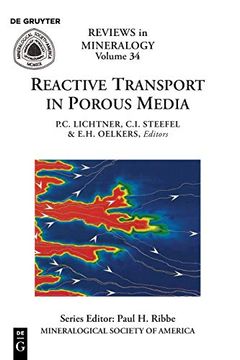 portada Reactive Transport in Porous Media: 34 (Reviews in Mineralogy) (en Inglés)