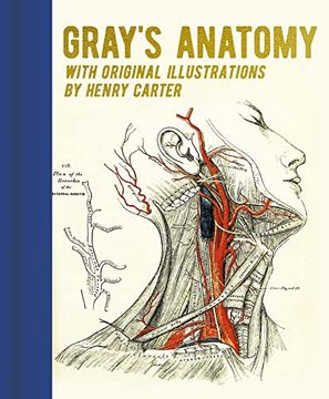 portada Gray'S Anatomy: With Original Illustrations by Henry Carter (Arcturus Gilded Classics) (en Inglés)