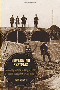 portada Governing Systems (Berkeley Series in British Studies) (en Inglés)