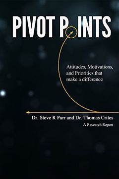 portada Pivot Points: Attitudes, Motivations, and Priorities That Make a Difference