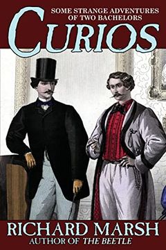 portada Curios: Some Strange Adventures of two Bachelors (in English)
