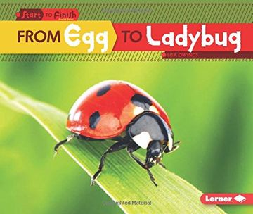 portada From Egg to Ladybug (Start to Finish, Second Series)