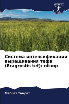 portada Система интенсификации & (in Russian)