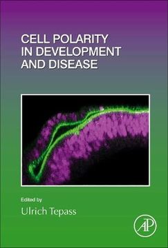 portada Cell Polarity in Development and Disease (Volume 154) (Current Topics in Developmental Biology, Volume 154) (en Inglés)