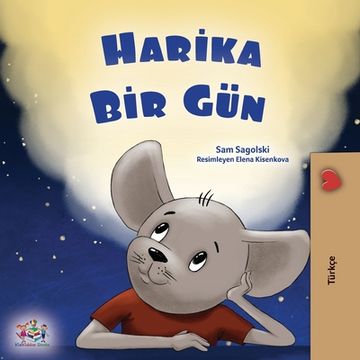 portada A Wonderful Day (Turkish Book for Children) (en Turco)