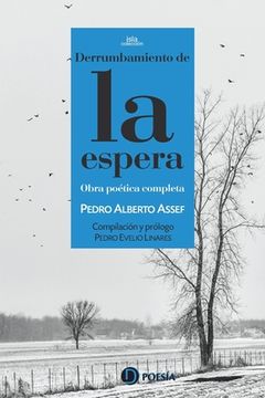 portada Derrumbamiento de la espera (in Spanish)